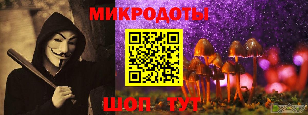 Псилоцибиновые грибы Cubensis Мегион